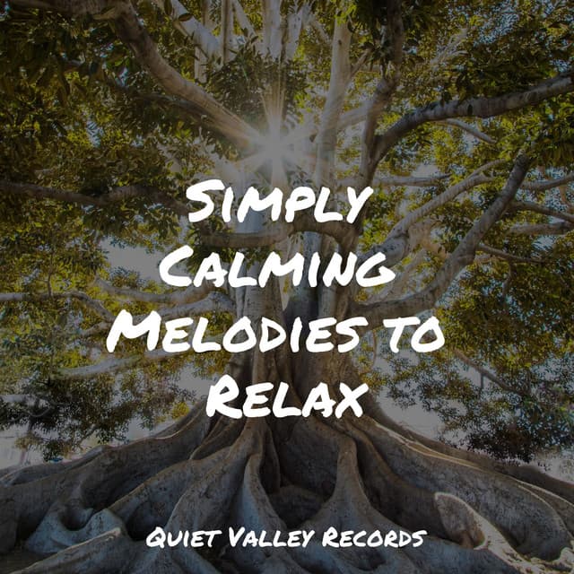 Simply Calming Melodies to Relax - Wellness