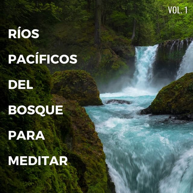 Ríos Pacíficos Del Bosque Para Meditar Vol. 1 - Rios y corrientes