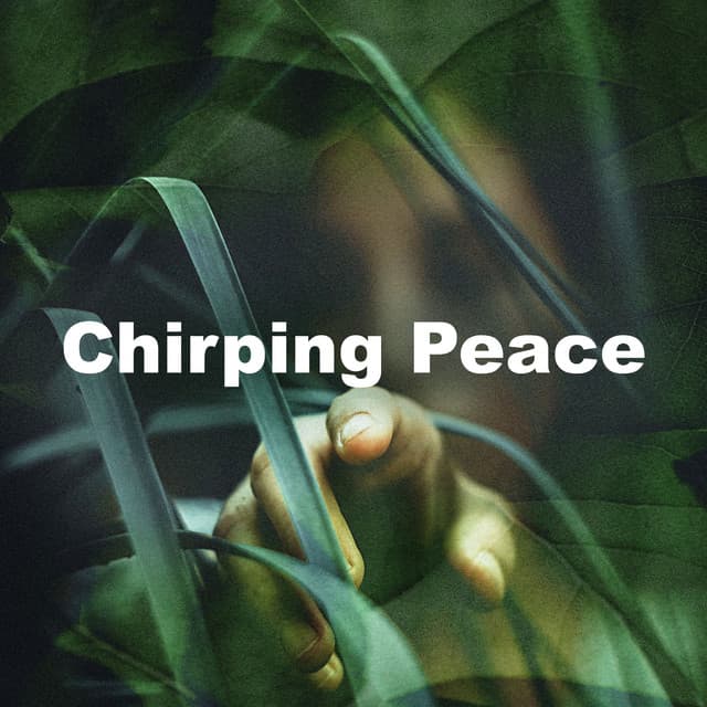 Chirping Peace - Calming Bird Sounds
