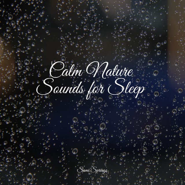 Calm Nature Sounds for Sleep - Rain Sounds Collection