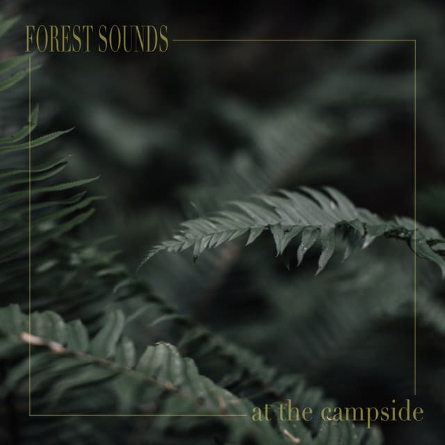 At the Campside - Forest Sounds