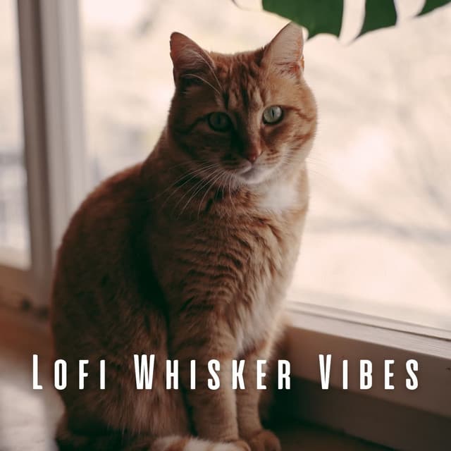 Lofi Whisker Vibes: Chill Melodies for Cat Lovers - Beards Are Better