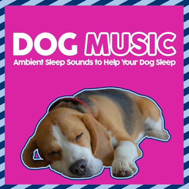 Dog Music - Ambient Sleep Sounds to Help Your Dog Sleep - Music For Pets
