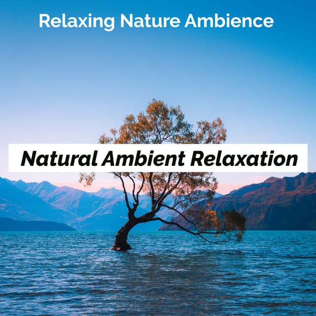 Natural Ambient Relaxation - Relaxing Nature Ambience