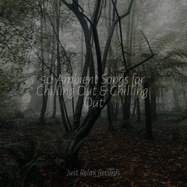 50 Ambient Songs for Chilling Out & Chilling Out - Baby Lullaby