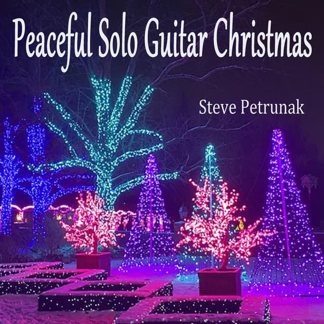 Peaceful Solo Guitar Christmas - Steve Petrunak