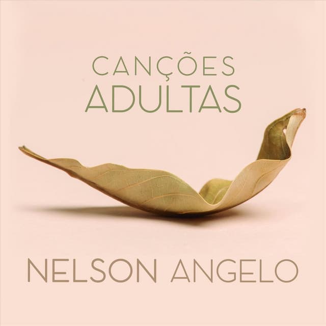 Canções Adultas - Nelson Angelo