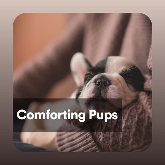 Comforting Pups - Dog Music Therapy