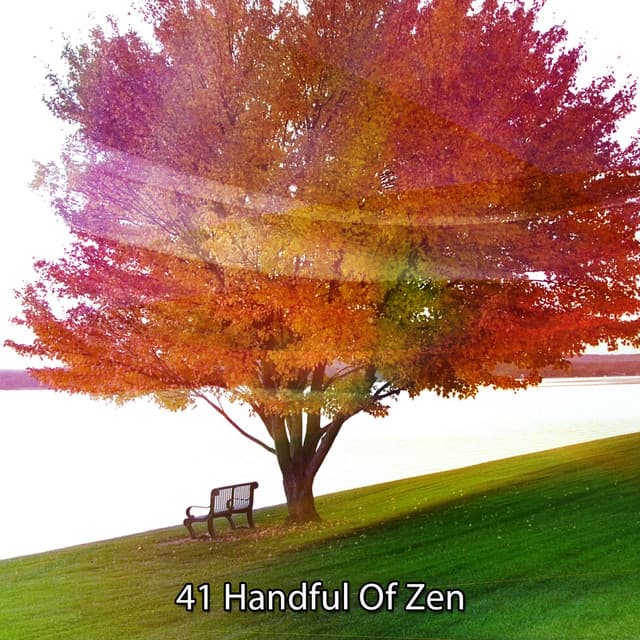 41 Handful Of Zen - Spiritual Fitness Music