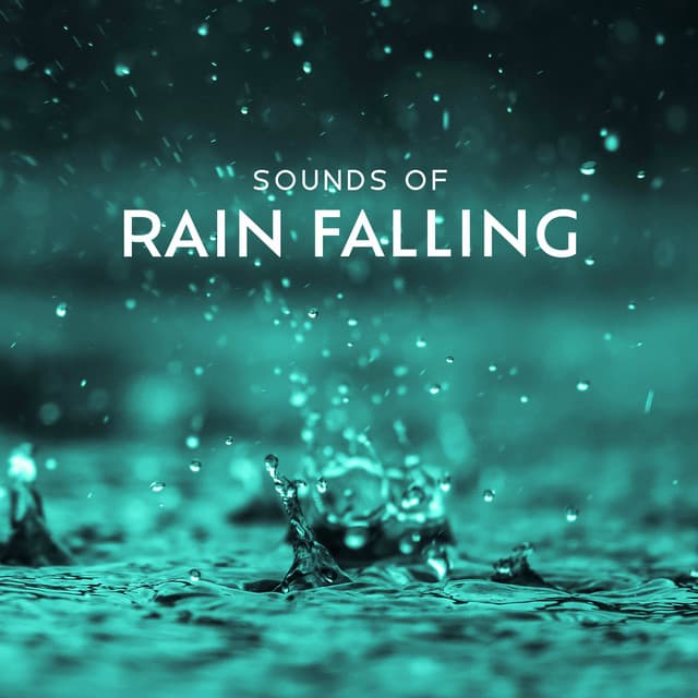 Sounds of Rain Falling: Sleep, Meditation & Anxiety - Hypnotic Therapy Music Consort