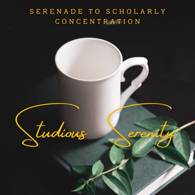 Studious Serenity: Piano Soundscapes for Focused Learning - Piano Mood