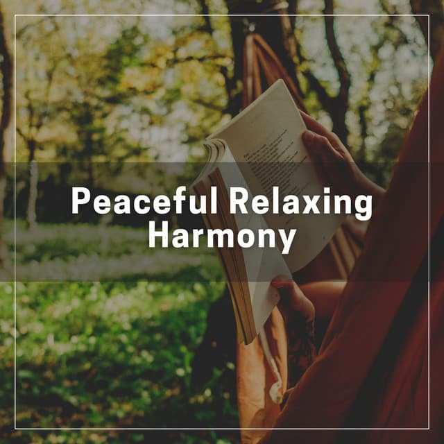 Peaceful Relaxing Harmony - Spa