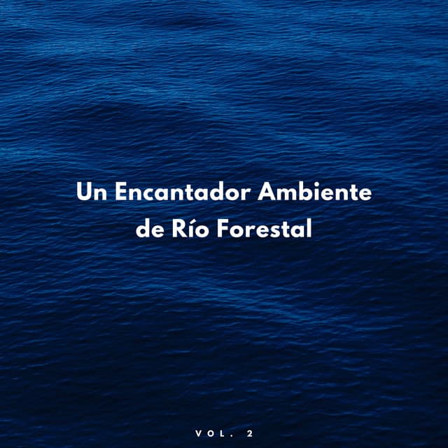 Un Encantador Ambiente De Río Forestal Vol. 2 - Corrientes de sueños