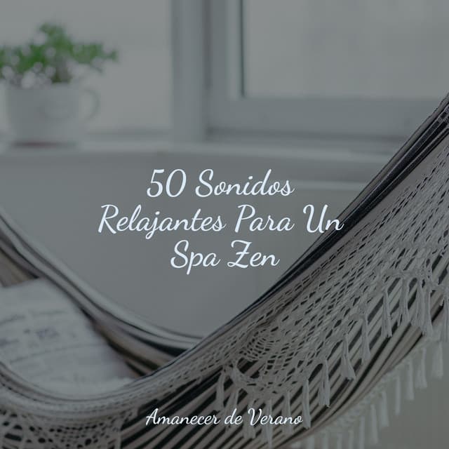 50 Sonidos Relajantes Para Un Spa Zen - MÚSICA PARA NIÑOS