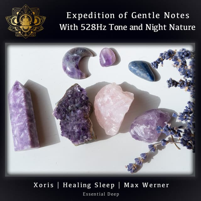 Expedition Of Gentle Notes With 528Hz Tone And Night Nature - Xoris