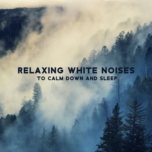 Relaxing White Noises to Calm Down and Sleep - Keith Noise