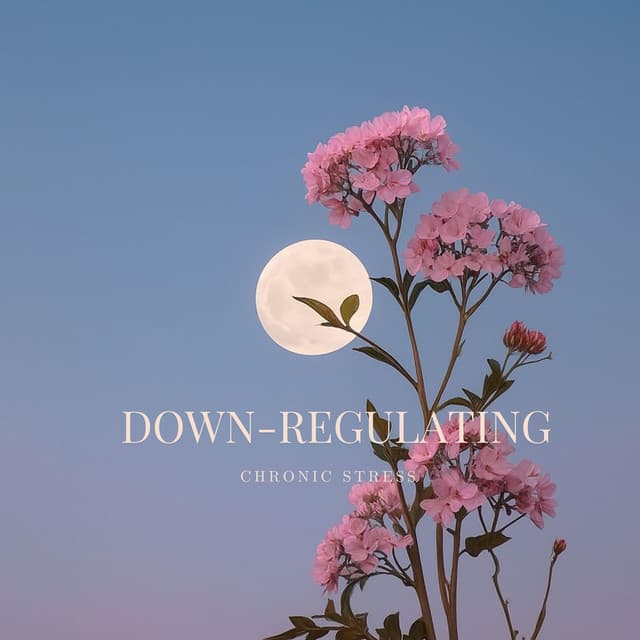 Down-Regulating Chronic Stress - Trouble Sleeping Music Universe