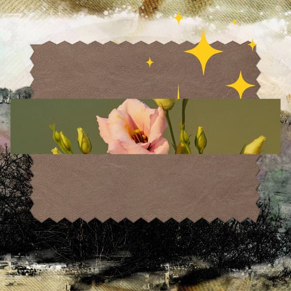 Backdrop for Lazy Chairs - Sultry Latin Music - Brazilian Jazz Deluxe