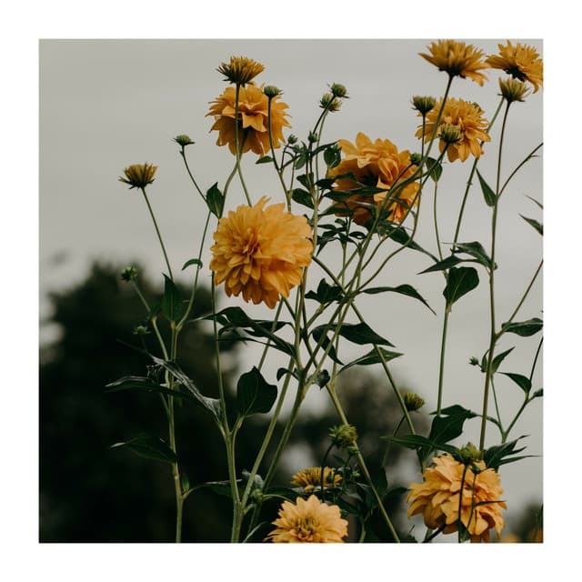 Achieve Everything You Deserve - Pilates Workout Academy