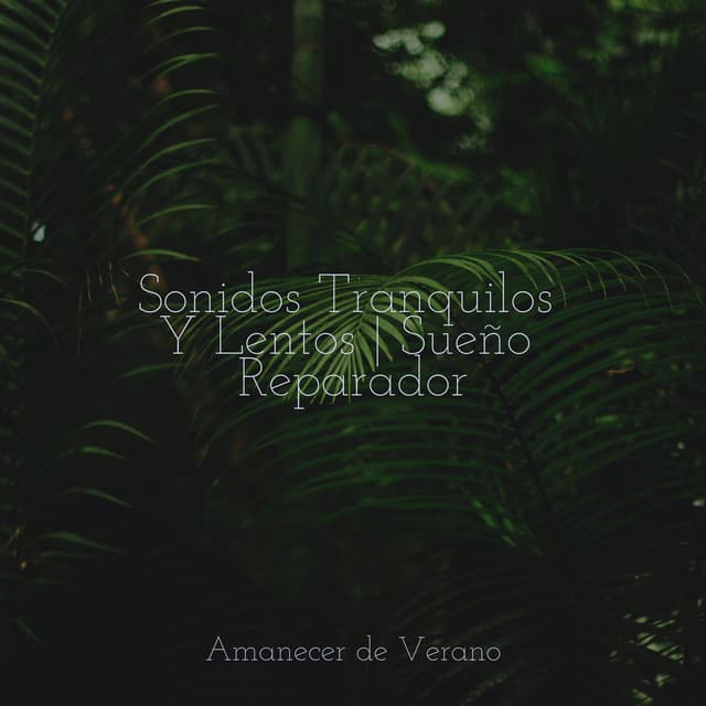 Sonidos Tranquilos Y Lentos | Sueño Reparador - Meditation Relaxation Club
