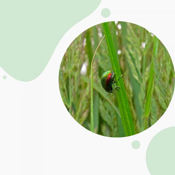 Self Care Days - Number One - Relaxing Music Playlist