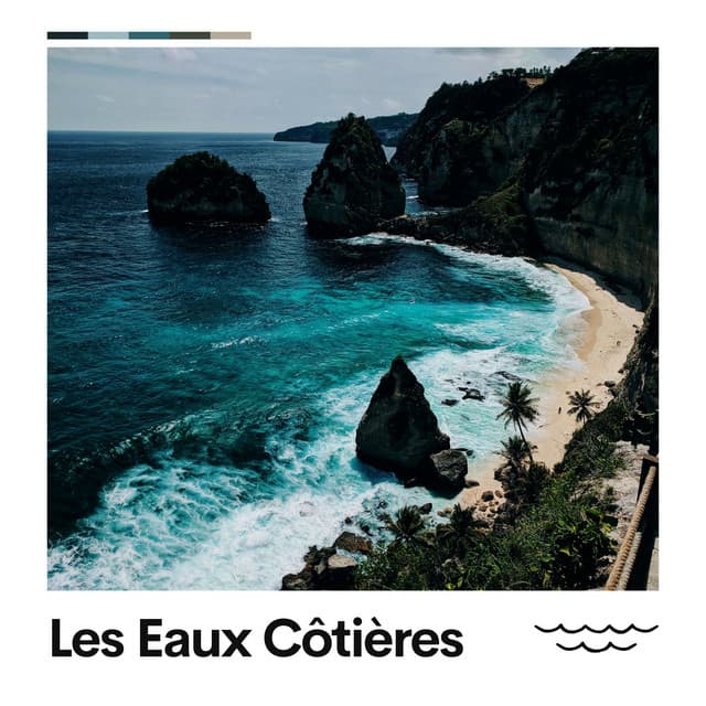 Les Eaux Côtières - Vagues Dans La Mer