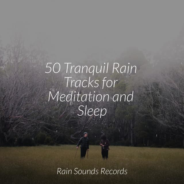 50 Tranquil Rain Tracks for Meditation and Sleep - Calming Sounds