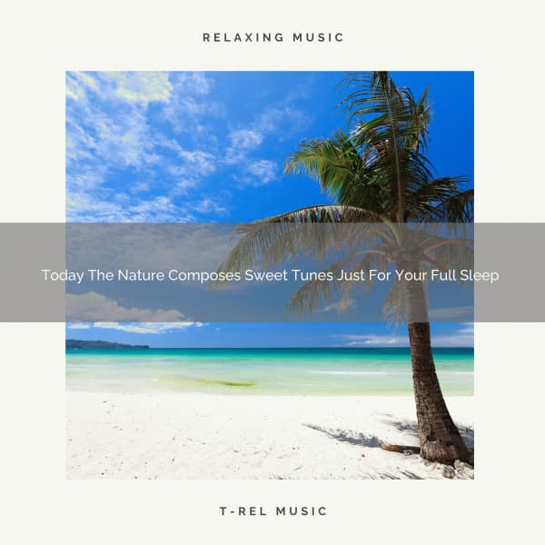 Today The Nature Composes Sweet Tunes Just For Your Full Sleep - Astral Noise