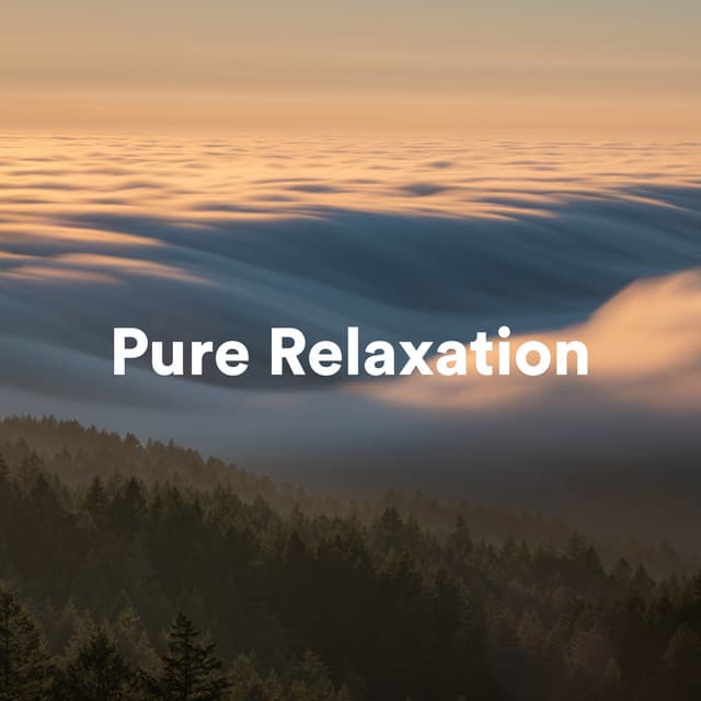 Pure Relaxation - Spa Music Hour