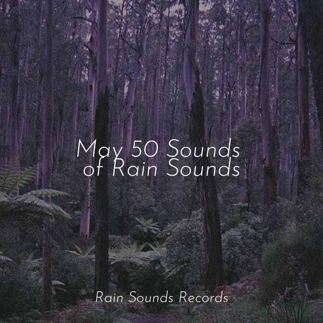 May 50 Sounds of Rain Sounds - Lullabies for Deep Meditation