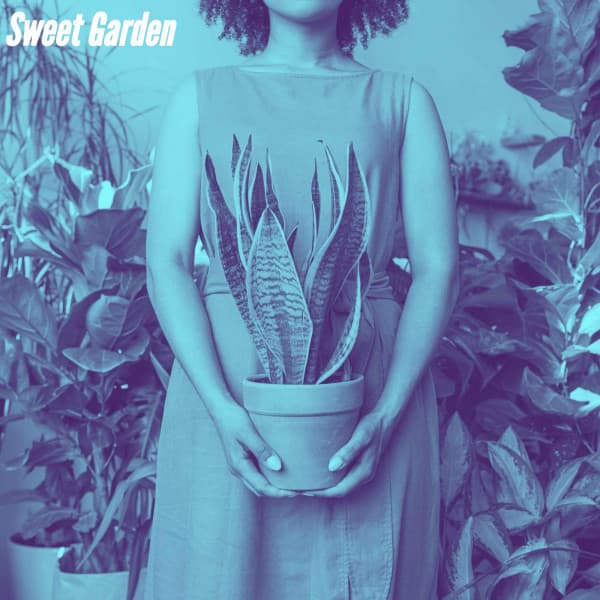 Sweet Garden - Hintergrund Jazz Musik