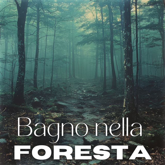 Bagno nella foresta: Musica di meditazione giapponese e immersione nella natura, Ambiente Shinrin-Yoku - Relax accademia di benessere