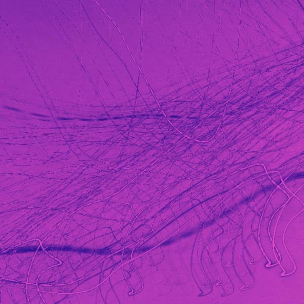 Outstanding Music for Nocturnal Monday - Bossa Guitar Trio with Jazz Organ - Bossa Nova Project