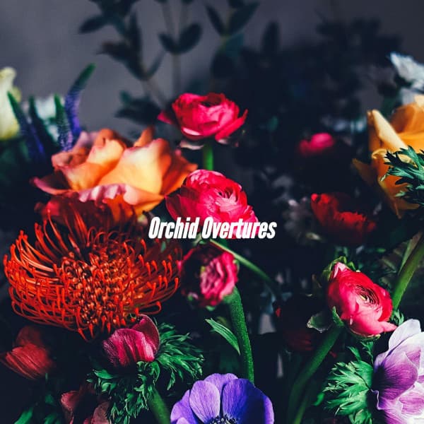 Orchid Overtures - Cafe de Musica Instrumental