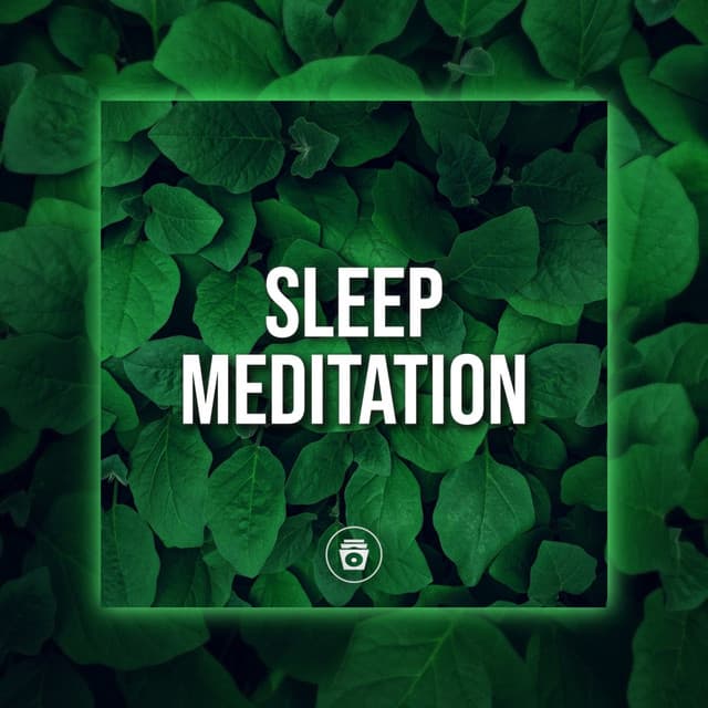 Sleep Meditation - Rain Sounds Nature Collection