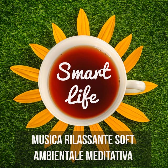 Smart Life - Musica Rilassante Soft Ambientale Meditativa per Dormire Riposare - Ahanu Om Chant