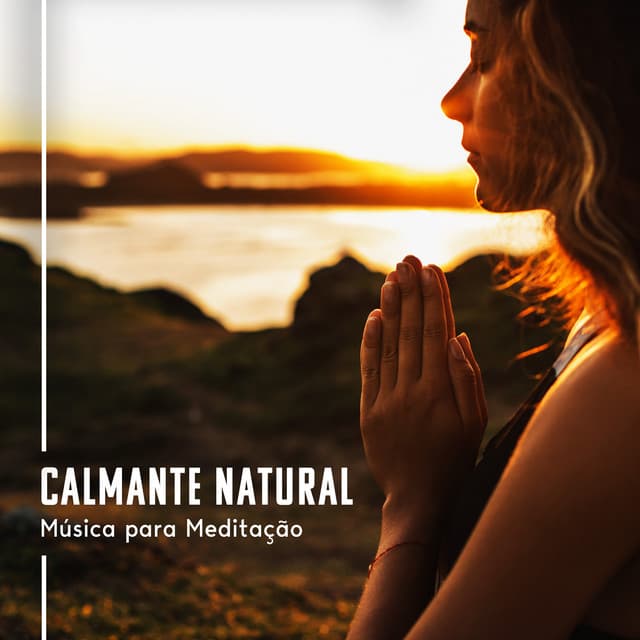 Calmante Natural: Música para Meditação da Atenção Plena com Sons da Natureza e Vibrações Suaves, Alívio do Estresse e Cura da Insônia - Meditação e Espiritualidade Musica Academia