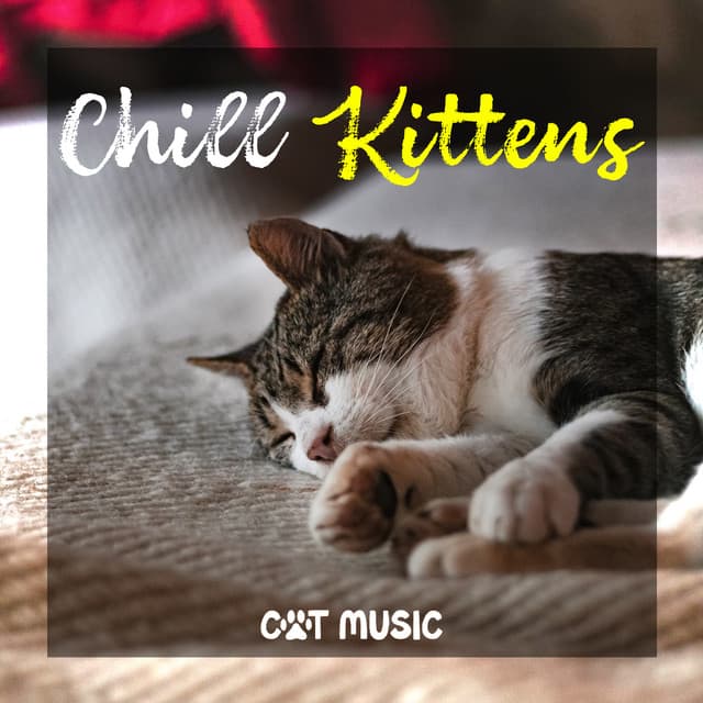 Chill Kittens - Cat Music
