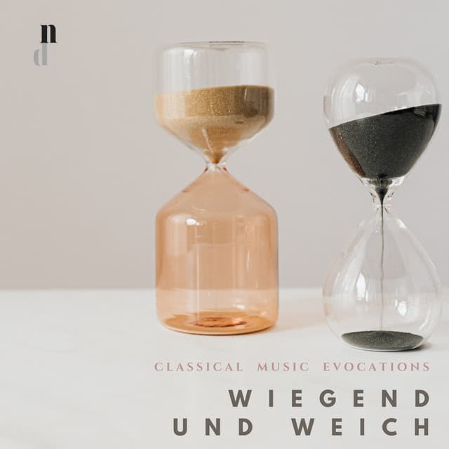 "114 Classical Music Evocations": Wiegend Und Weich - Lester Donahue