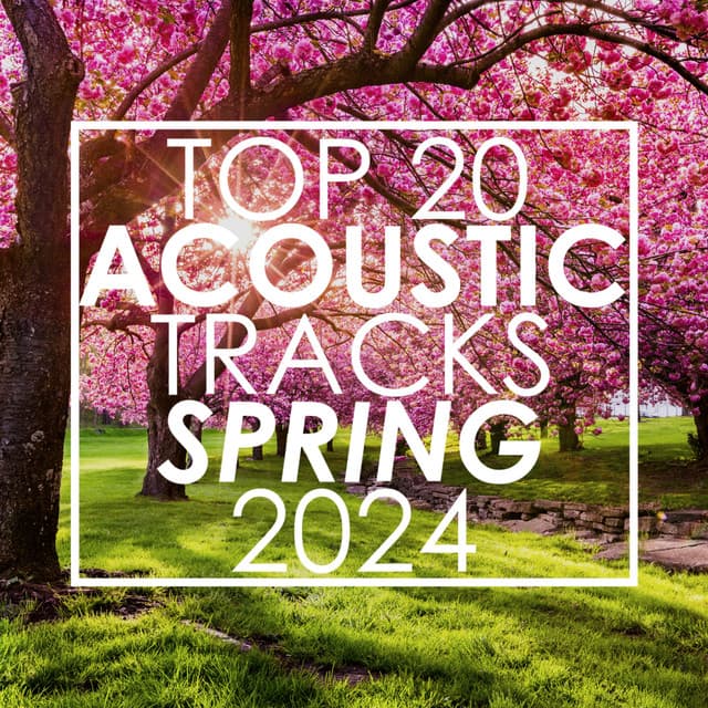 Top 20 Acoustic Tracks Spring 2024 - Guitar Tribute Players