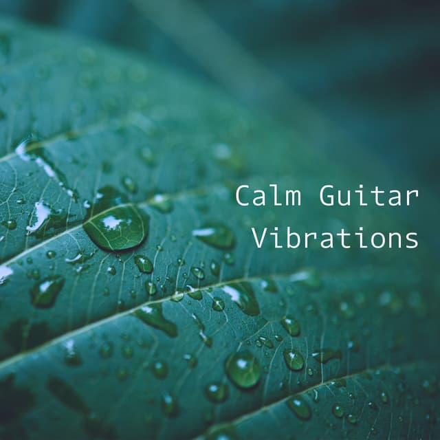 Calm Guitar Vibrations – Gentle Music for Relaxation - Wellness Sounds Relaxation Paradise