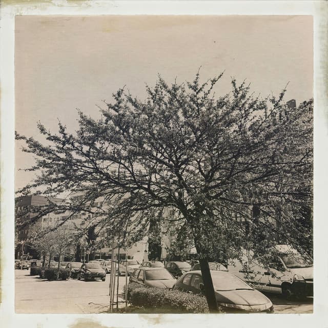 30 Day Zen: The Vibe Of Now - 16 Bit Serenity