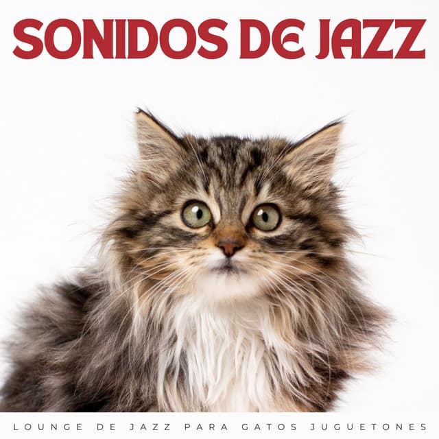 Sonidos De Jazz: Lounge De Jazz Para Gatos Juguetones - Salón de jazz de Nueva York