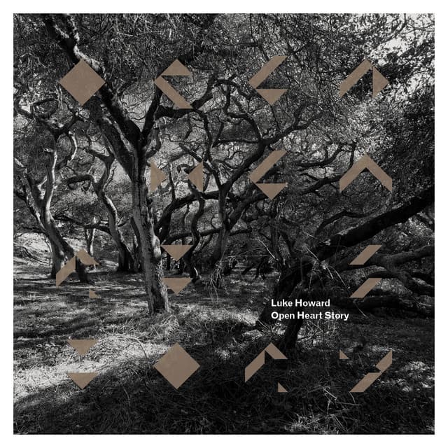 Open Heart Story - Luke Howard
