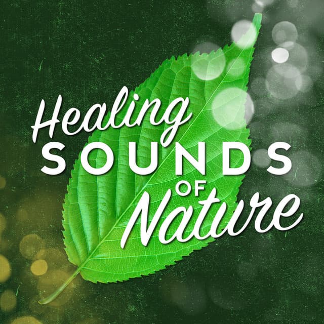 Healing Sounds of Nature - Sleep Music with Nature Sounds Relaxation