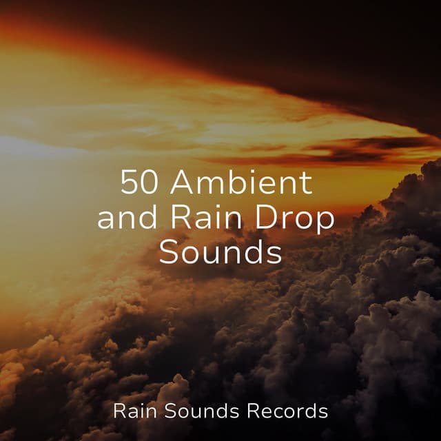 50 Ambient and Rain Drop Sounds - Meeresrauschen