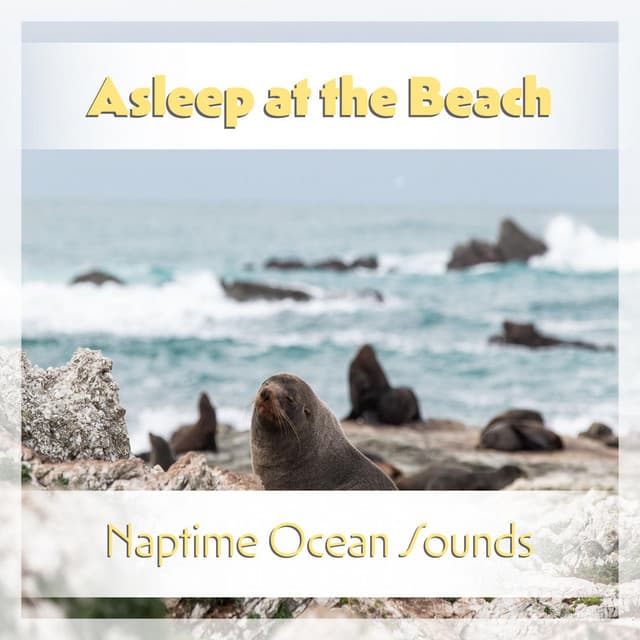 Asleep at the Beach: Naptime Ocean Sounds - Ocean Waves for Meditation