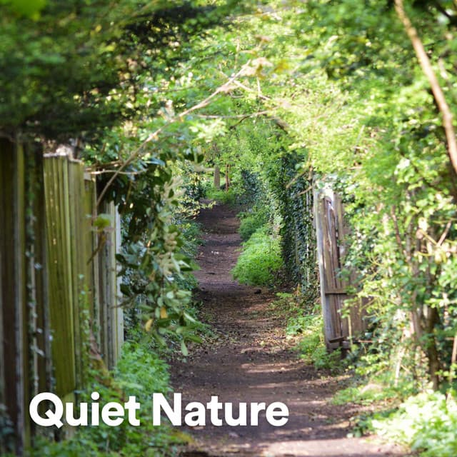 Quiet Nature - Weather and Nature Recordings