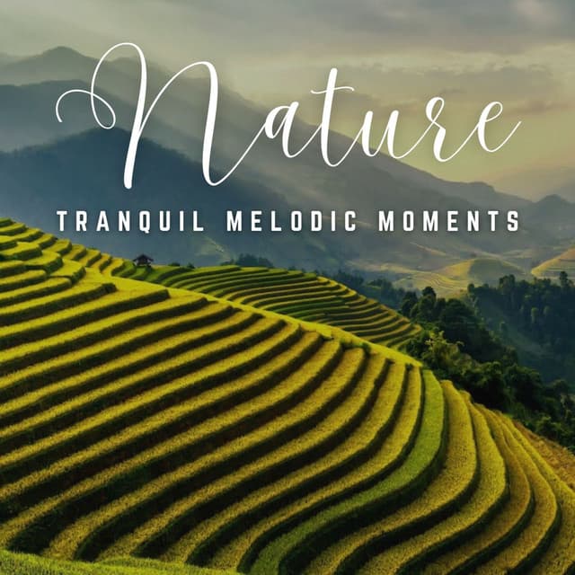 Soothing Serenades: Enriching Relaxation Melodies - Classical Music Station