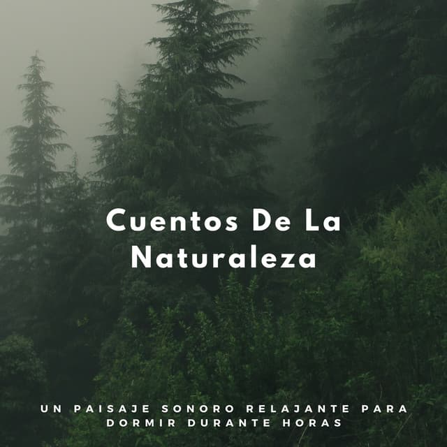 Cuentos De La Naturaleza: Un Paisaje Sonoro Relajante Para Dormir Durante Horas - Sonidos de la Naturaleza para Dormir